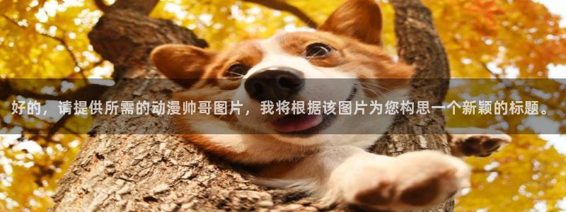 囧次元无：好的，请提供所需的动漫帅哥图片，我将根据该图片为您构思一个新颖的标题。