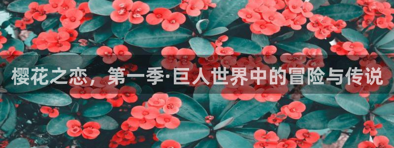 囧次元软件：樱花之恋，第一季·巨人世界中的冒险与传说