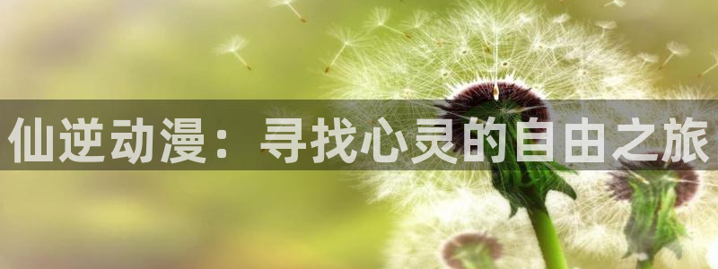 囧次元下载：仙逆动漫：寻找心灵的自由之旅