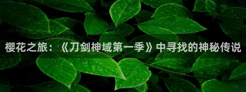囧次元在线：樱花之旅：《刀剑神域第一季》中寻找的神秘传说